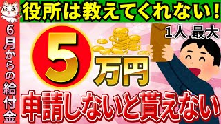 【超最新】2024年6月に給付スタート！年収100～500万円の方必見！超簡単な申請方法で4万円を5万円に増やす方法！【定額減税4万円対象者･いつから調整･補足給付年金受給者･個人事業主】 [upl. by Ardnik]