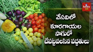 వేసవి కూరగాయల సాగులో చేపట్టవలసిన పద్దతులు  Vegetables Cultivation in Summer  hmtv Agri [upl. by Icyak]