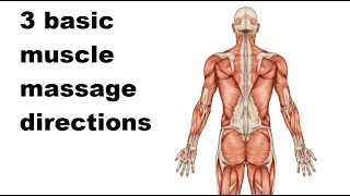 How to massasge muscles  3 basic directions  Massage Monday 183 [upl. by Merilee]