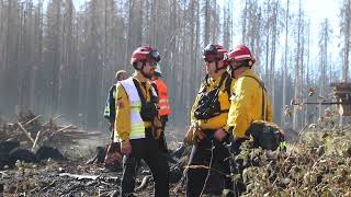 Waldbrand im Harz Waldbrandteam nahe Schierke mit Feuerwehr Polizei THW und Bundeswehr im Einsatz [upl. by Heriberto717]