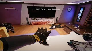 Stylish Teamkills  Rainbow Six Siege [upl. by Legnaesoj]