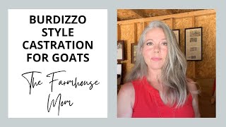 Burdizzo Style Castration Method for Goats [upl. by Dahij]