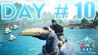 ALPHA Dragon and TAMING Pelagornis Day 10 ARK Official PvP [upl. by Brena]