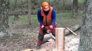 Kickback Demonstration by Chainsaw Instructor Joe Glenn [upl. by Strang]