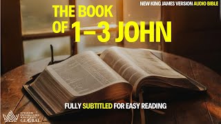 The Book Of 13 John NKJV Audio Bible  Audio Book [upl. by Thane812]