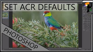 Adobe Camera Raw  New Way to Setup Defaults [upl. by Barbuto]