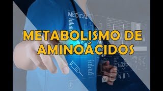 METABOLISMO DE AMINOÁCIDOS [upl. by Klayman253]