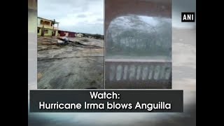 Watch Hurricane Irma blows Anguilla  ANI News [upl. by Marcellus]