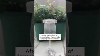 baking soda and vinegar help plants grow better garden gardening plants [upl. by Nolubez]