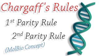 ConceptChargaffs Rule [upl. by Ilenna]