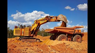 A Determination of Phytoremediation by Native Species in Bauxite Spoil Dump [upl. by Nonnair457]