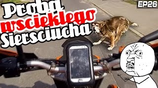 Wściekły Sierściuch Atakuje DPF o Poranku RoweroVlog Pijany Busman Kraina Mięsa i Przegląd EP26 [upl. by Alyakam610]