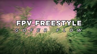 FPV Freestyle  TheGoferFlow [upl. by Christi]