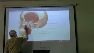 Anatomy of head amp neck 26  Muscles of mastication  part 1   by Dr Wahdan [upl. by Esyla]