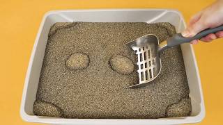 How to Use ARM amp HAMMER™ SLIDE™ Cat Litter [upl. by Nylave]