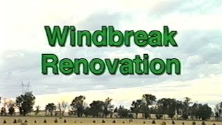 Windbreak Renovation [upl. by Matheny544]