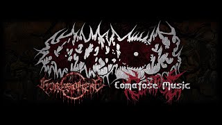 Cercernatory  Phalaris Bull Seraphic Extermination amp Infinite Carnage Live  BGDF 2024 [upl. by Ahsad]