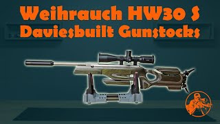 Weihrauch HW30 S with Daviesbuilt Gunstocks stock [upl. by Ob]