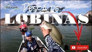 LOBINAS GIGANTES en ESTA PRESA  Black Bass PESCA en El Varejonal Sinaloa [upl. by Yenal]