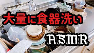 【食器洗い】息子２名様ご来店〜✨✨ [upl. by Einahc186]