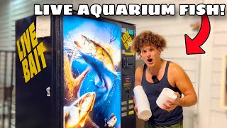 I Found VENDING MACHINE Filled With LIVE AQUARIUM FISH [upl. by Lukey]