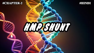 Chapter 2  Metabolism Of Carbohydrates Part11  HMP Shunt [upl. by Obbard]