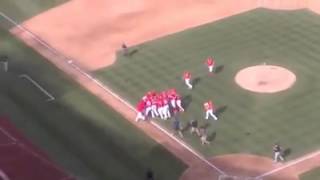 Jordan Zimmermann No Hitter  Fan View [upl. by Humberto]