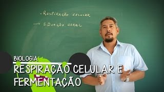 O que é Mitocôndria  Extensivo Biologia  Descomplica [upl. by Apollo]