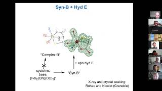 Hydrogenase Lectures 2022 Episode 3 Part 2 Tom Rauchfuss [upl. by Ronalda]