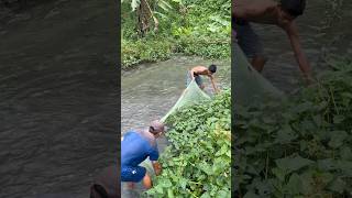 Simpleng paraan makahuli sa paghuli ng isda libre na pang ulam😱fish fishing trend amazing [upl. by Seroka987]