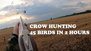 Crow hunting  45 birds in 2 hours [upl. by Yreffeg]