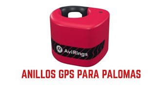 Anillos GPS para palomas [upl. by Zadoc]