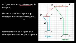 Identifier les côtés correspondants dans des figures semblables [upl. by Dobb]