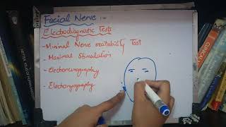 FACIAL NERVE complete description with disorders part 3 [upl. by Yacano]