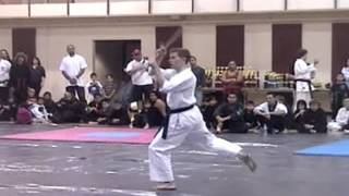 Taekwondo  Bo Staff Kata Demonstration [upl. by Reis]