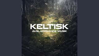 Keltisk avslappnande musik [upl. by Franek380]