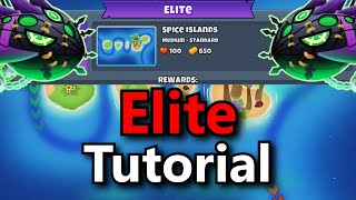 Lych Elite Tutorial  BTD6 [upl. by Eldin]