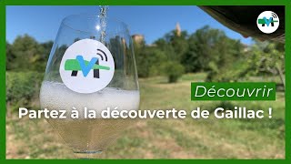 À la découverte du vignoble de Gaillac [upl. by Nosreg]