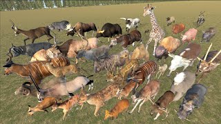 EvenToed Ungulates Animal Speed Comparison in 3D Animation  Realistic World Data [upl. by Nosyarg]