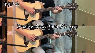 Dowina Sauvignon DCsws [upl. by Peggie]