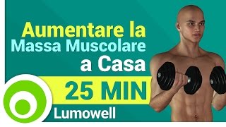 Esercizi da Fare a Casa per Aumentare la Massa Muscolare  Allenamento Completo [upl. by Lien]