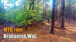 MTB Brabantse Wal [upl. by Arbed]