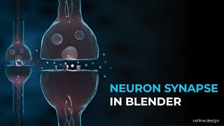 Blender Tutorial  Creating Neuron Synapse  Beginner Level [upl. by Templas719]