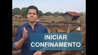 COMO INICIAR UM CONFINAMENTO EM PEQUENAS PROPRIEDADES [upl. by Essy]