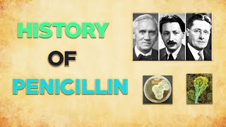 History of Penicillin [upl. by Avehs998]