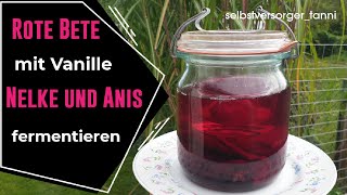 Rote Bete fermentieren  Gemüse fermentieren  fermentieren Rezept  Vorrat anlegen  Milchsauer [upl. by Ola440]