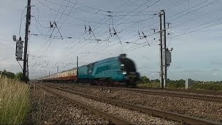 Bittern at 90mph  High Speed Steam Train [upl. by Esom]