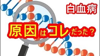 【白血病】急性骨髄性白血病による入院で治療に転機が訪れた日【闘病記】 [upl. by Esilenna]