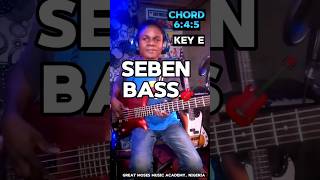 Quickly Apply This Seben bass GROOVE 🎸 learnbass basslessons [upl. by Dwight88]