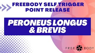 Peroneus Longus and Brevis Self trigger Point Release [upl. by Vassili]